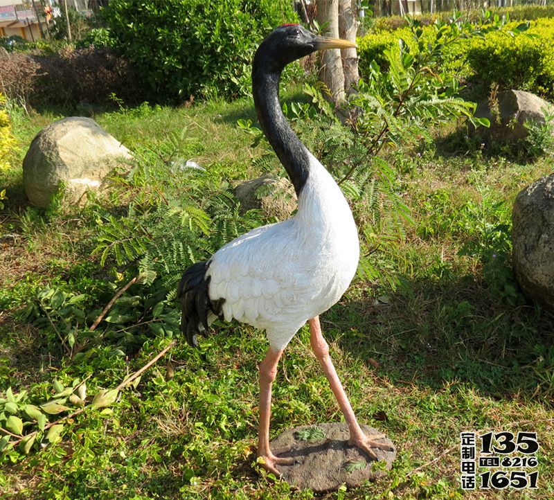 戶外玻璃鋼彩繪仿真動物公園景觀仙鶴雕塑